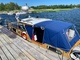 Family Cruiser