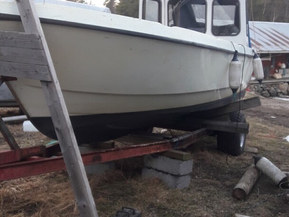 Fishmaster 810