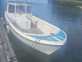 Fishmaster 810