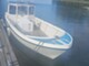 Fishmaster 810