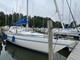 Finngulf