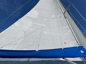 Finngulf 