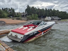 Sea Ray Other