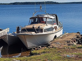 Muu merkki 