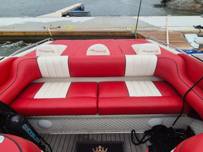 Sea Ray Other
