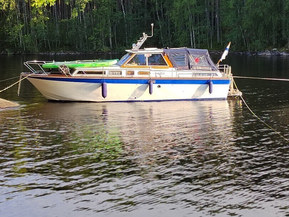 Kaartovuorelainen Other