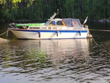 Kaartovuorelainen Muu malli