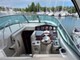 Sea Ray 335 Sundancer Joystick