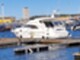 Sealine F43