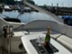 Sealine F43