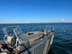 Greenbay Marine G-Force 8