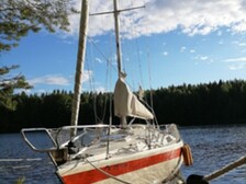 Helmsman