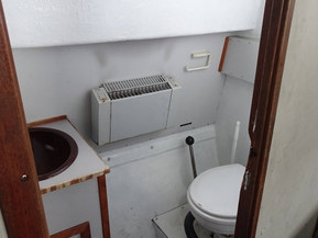 Lujitemuovivene Other