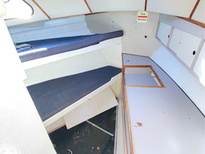 Lujitemuovivene Other