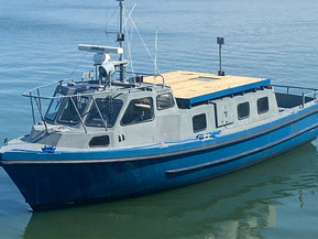 Lujitemuovivene Other