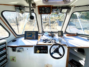 Lujitemuovivene Other