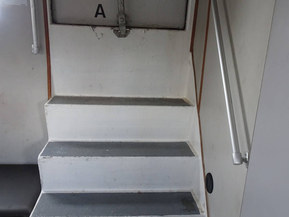 Lujitemuovivene Other