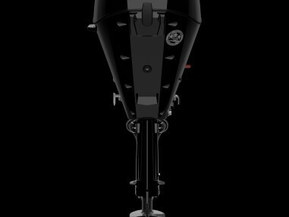 Mercury F30 ELPT EFI