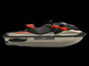 Sea-Doo RXP-X 300 RS 325 Tech Pac