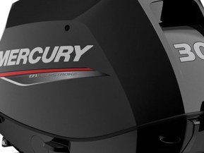 Mercury F30 ELPT EFI