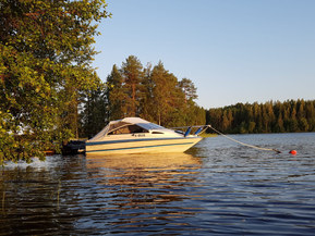 Bayliner 1750 Capri