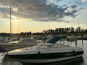 Bayliner 