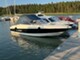 Bayliner Capri 232 LX