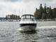 Bayliner Muu malli 802 Cuddy