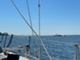 Finn 26