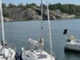 Finn 26
