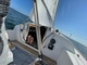 Finn 26