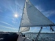 Finn 26
