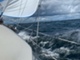 Finn 26