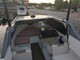 Delphin 565 cabin