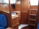 Comfortina 32
