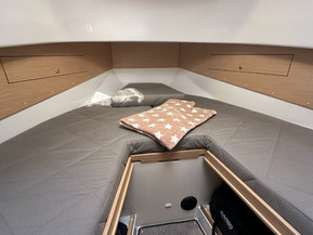 Sargo 31