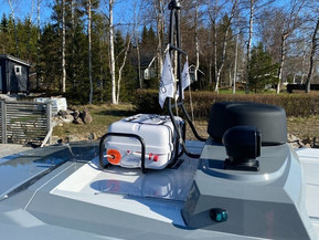 Sargo 31