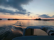 Albatross 26