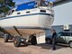 Seacat