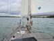 Seacat