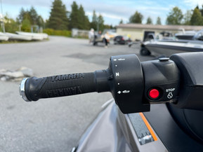 Yamaha FX Cruiser SVHO