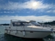 Marino Barracuda