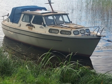 Albatross 