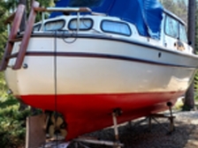 Albatross 