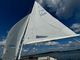 Folkboat