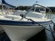 Barlit 30