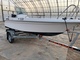Rival Silverfish 430