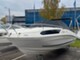 Bayliner VR 5 CUDDY