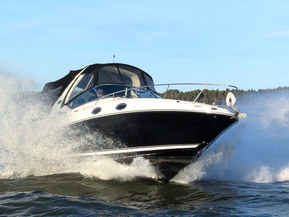 Sea Ray 275 Sundancer