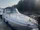 Sea Ray 315 Sundancer